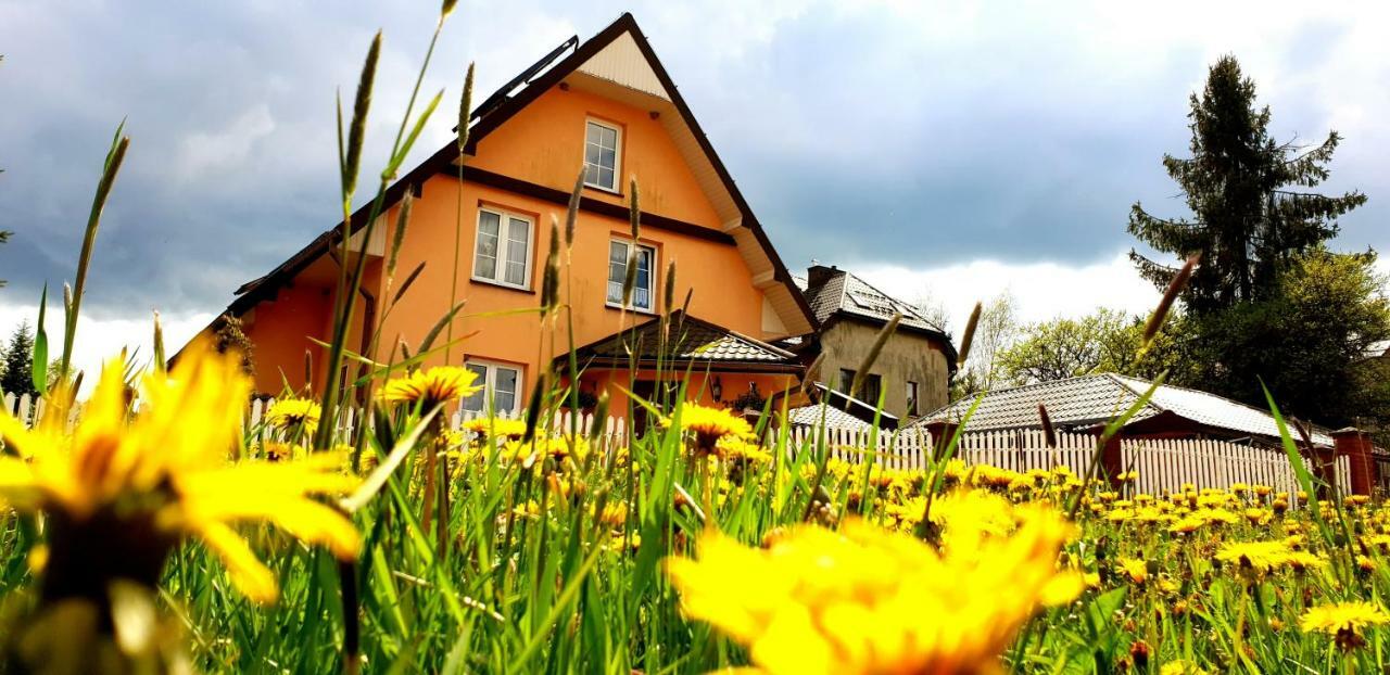Dom Goscinny Orange Wysowa-Zdrój Exteriör bild